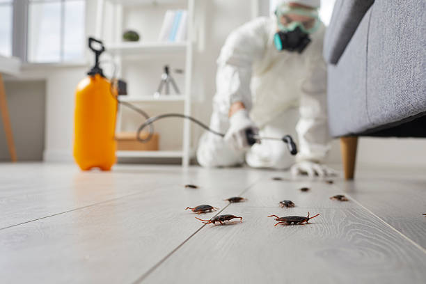 Trusted Rodent Control service in Moores Mill, AL - Nex Pest Control